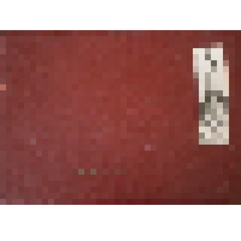 Альбом " Белгород. 1962. Бессмертие". Фото 18