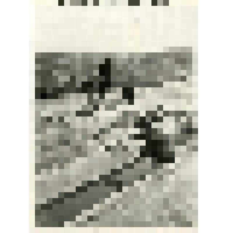 Московский гидромелиоративный институт В.Р. Вильямса. Модель водозабора полевой русловой лаборатории. Фотография