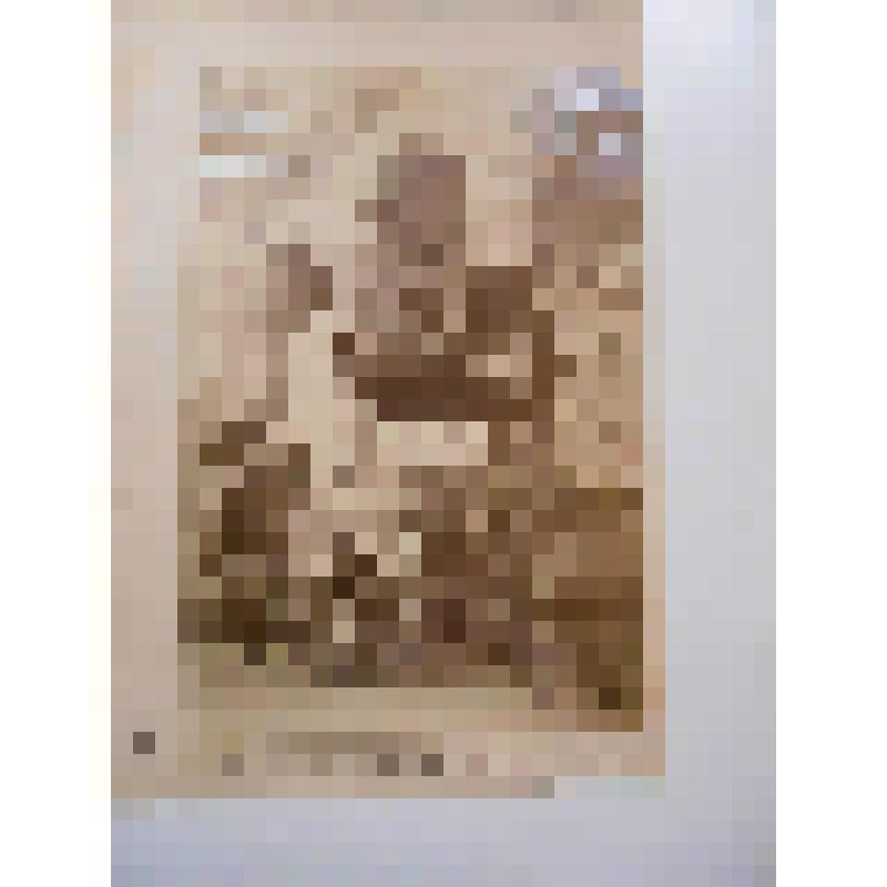 Церковь св. Якова. XVI в. Бельгия, г. Антверпен. Церковь св. Якова. XVI в. Кафедра