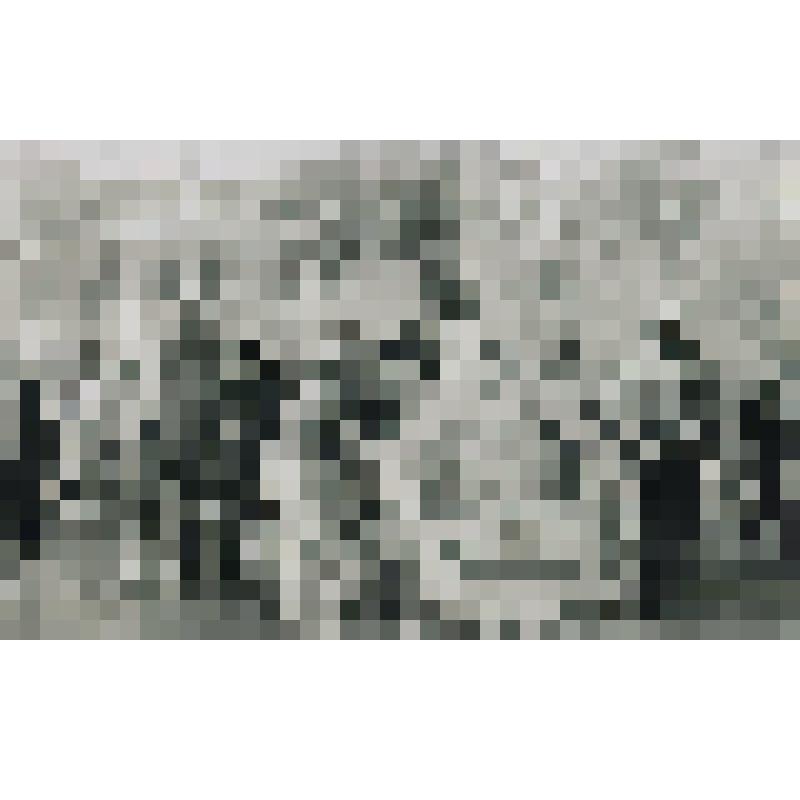 Фотокопия черно-белая групповая. Сотрудники санатория «Ливадия» на праздничной демонстрации