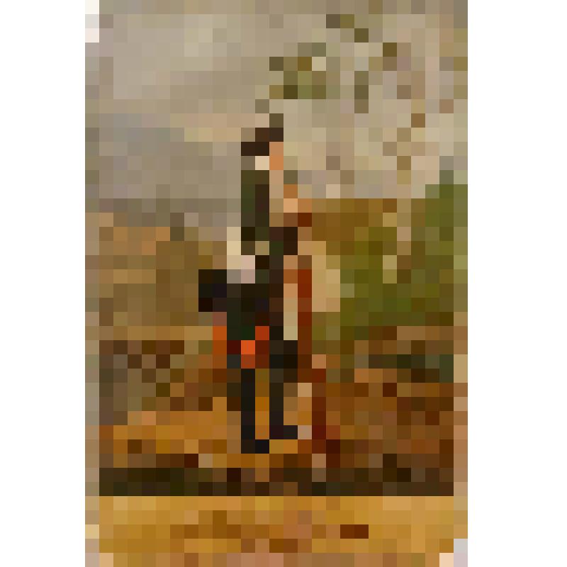 Мушкетер Моздокского гарнизона (1797-1800), из серии «Историческое описание одежды и вооружения Российских войск»