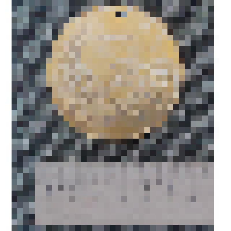 Медаль лыжный пробег "Европа-Азия" Лобынцева Николая Яковлевича