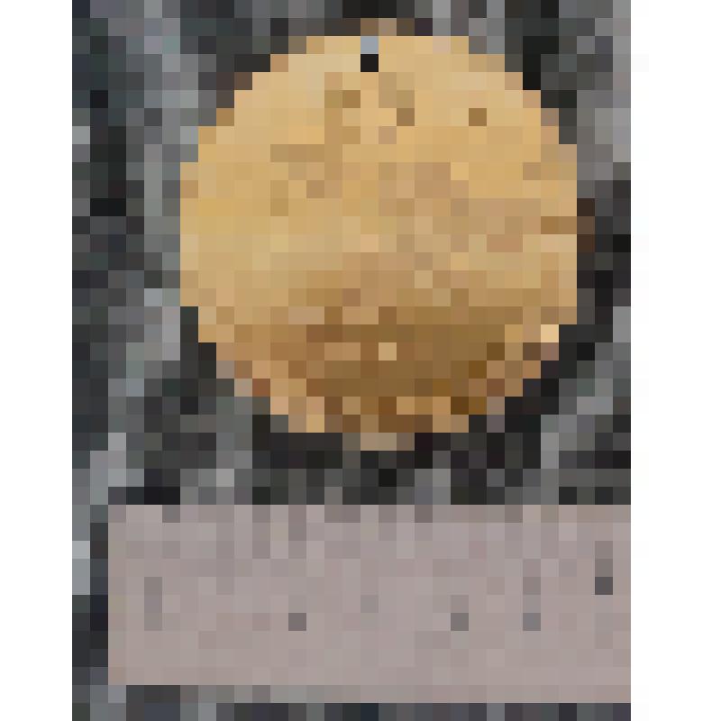 Медаль лыжный пробег "Европа-Азия" Лобынцева Николая Яковлевича