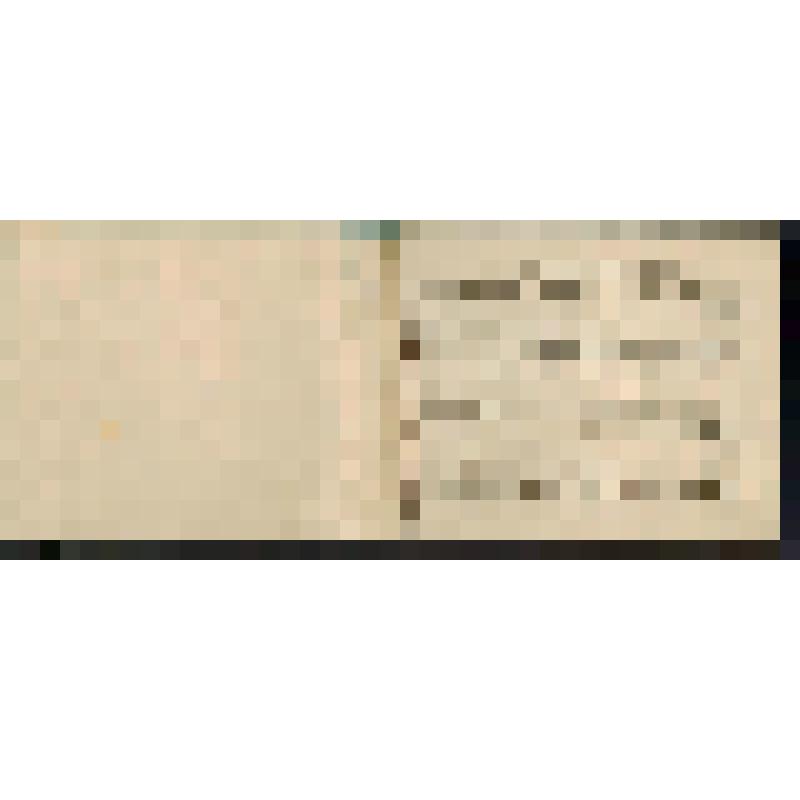 Документ. Пенсионная книжка №1/655 Тупицыной А.Д