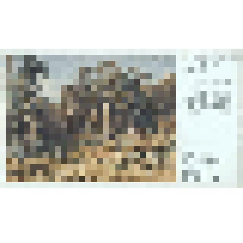 Сосновой бор. 1872 г. ГТГ. Репродукция работы худ. Шишкина И. И