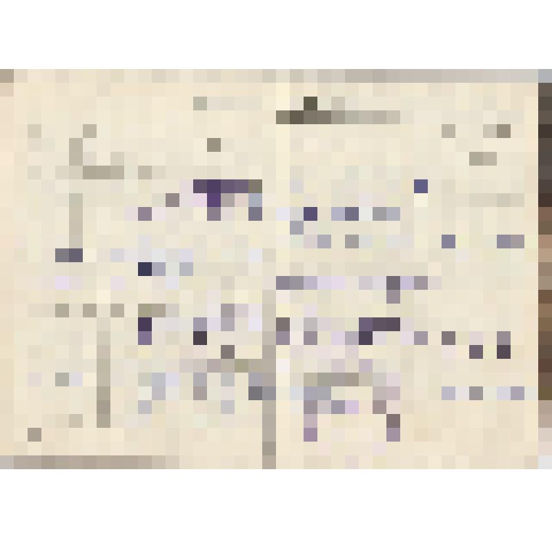 Трудовая книжка Качуринского Фауста Семеновича