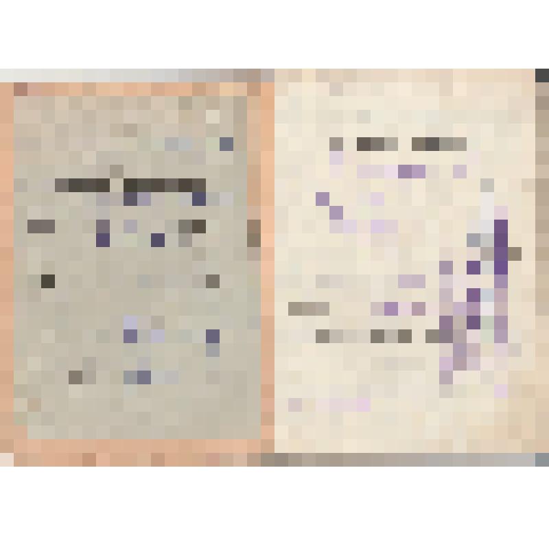 Трудовая книжка Качуринского Фауста Семеновича