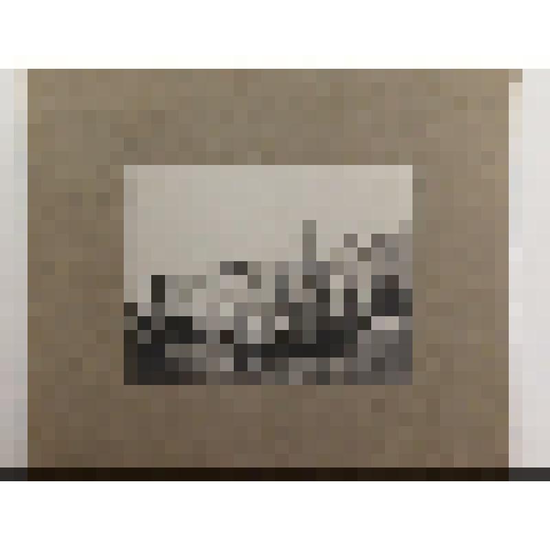 Топографическая фотография: Венеция. Гранд Канал и мост Риальто