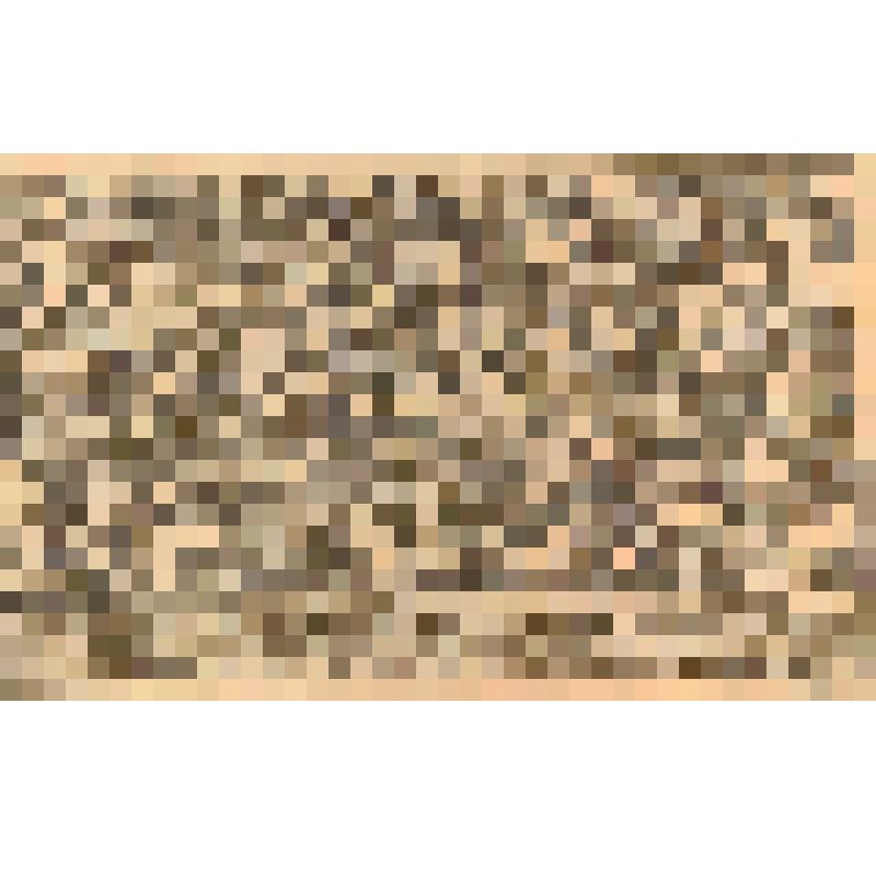 Лубок "Описание от 9-го июня 1770 году ..." (лист 337)