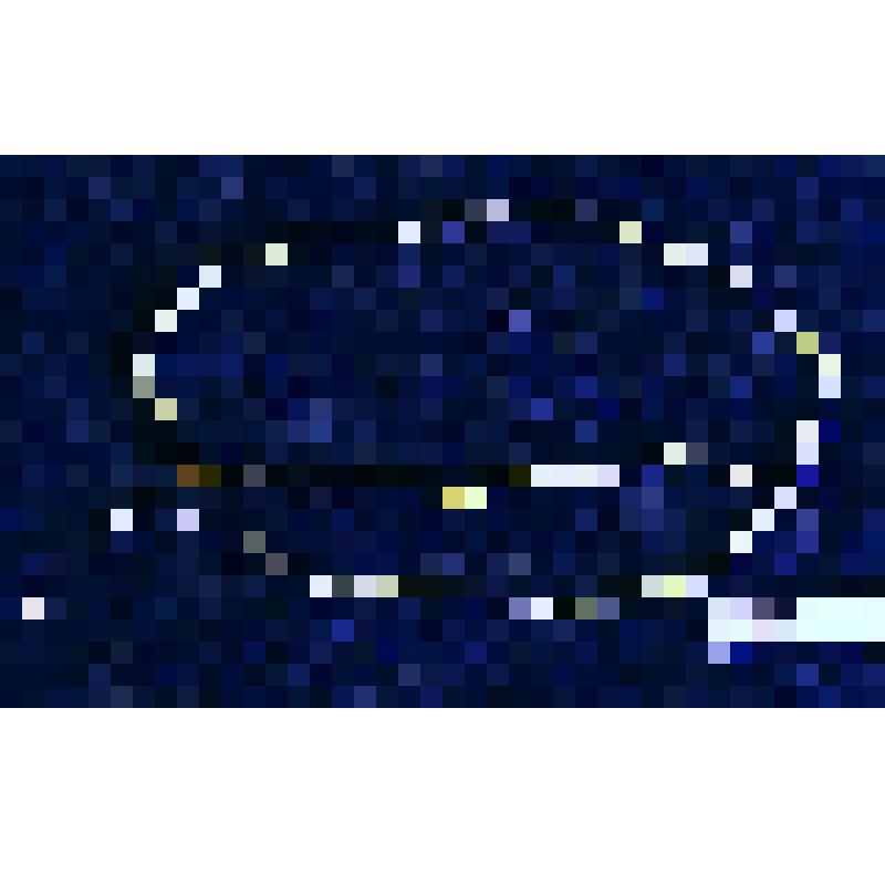 Бусы из речного жемчуга, который добывали в России. Россия. к. XVIII – н. XIX в