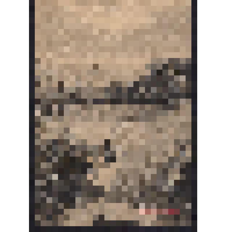 Л.8. Открытка "Крым. Кореиз. Уголок парка"
