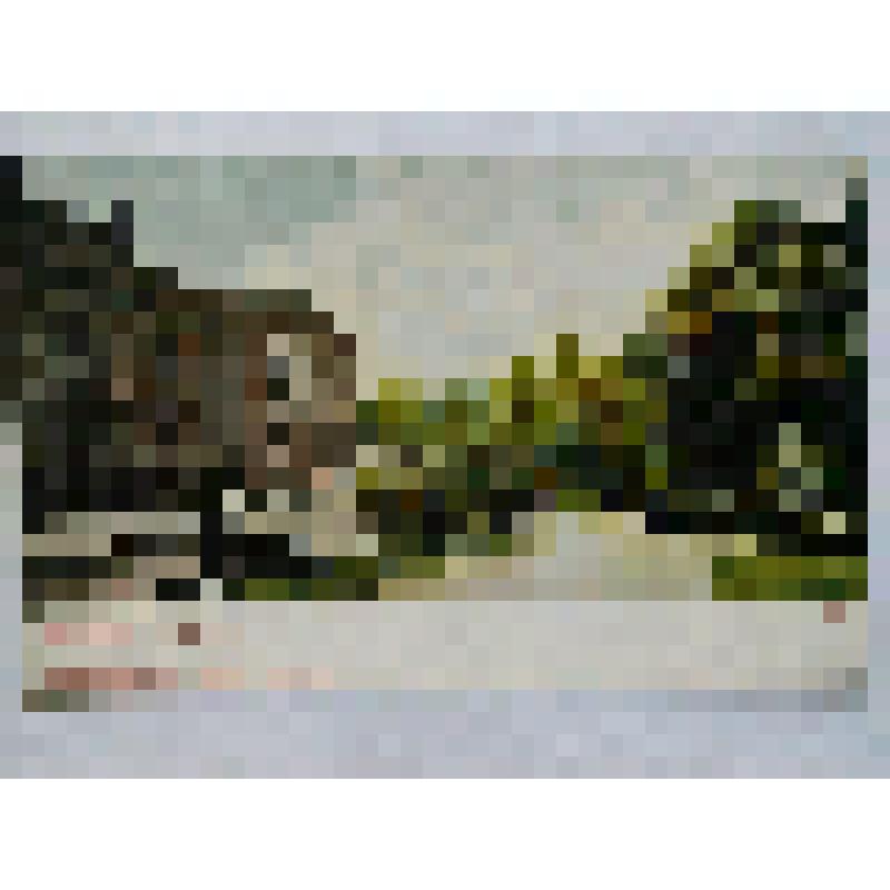 г. Гамбург. Рингштрассе. Перспектива улицы. Kunstverlagsanstalt A. Neumann, Hamburg