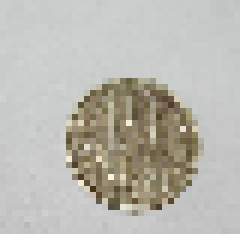 Монета. 10 копеек