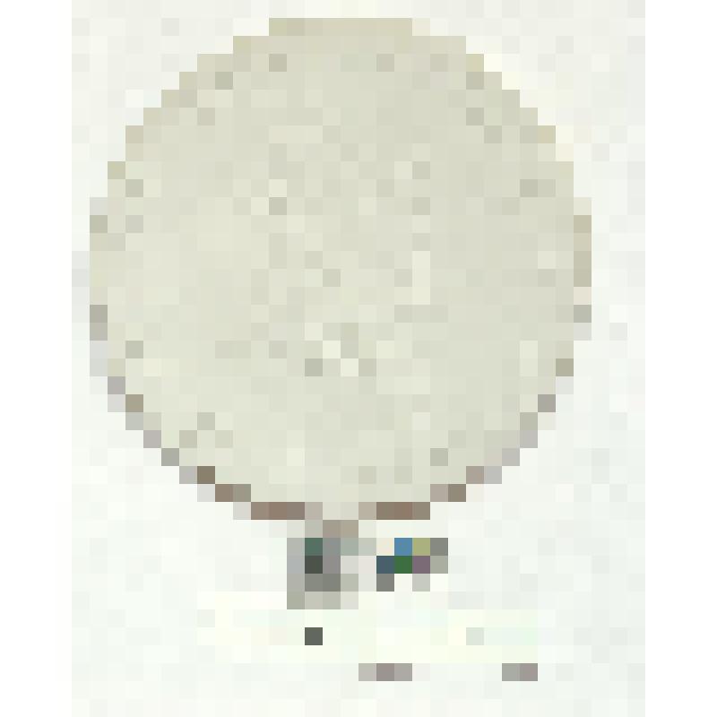 СССР. Медаль. В честь Константина Рончевского. 1956 г