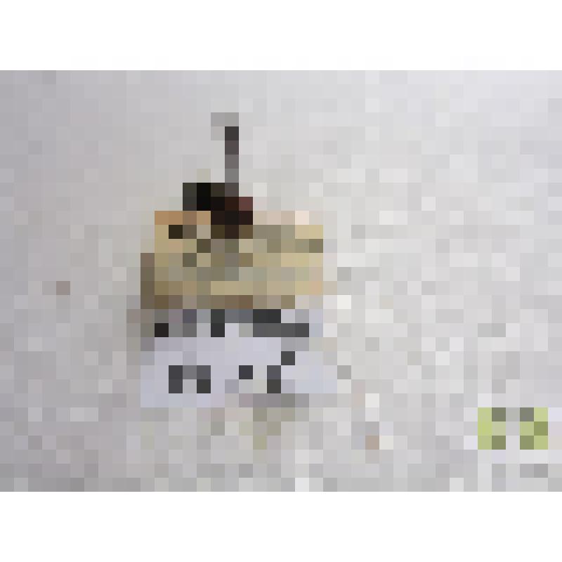 Афодий навозный (Aphodius fimetarius L.)