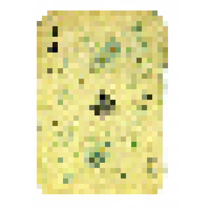 Карта игральная