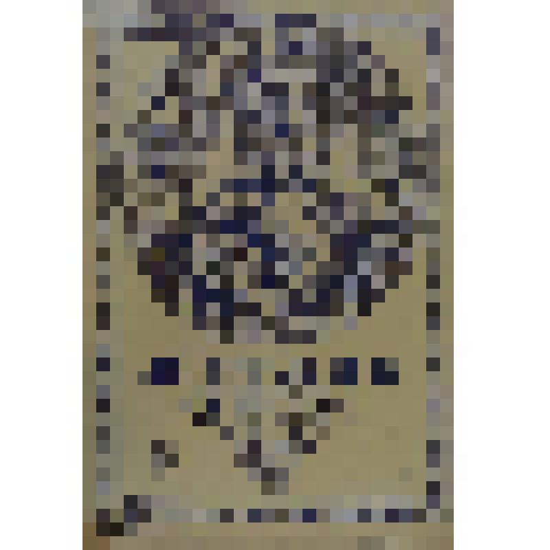 Журнал. Летопись войны с Японией. №25