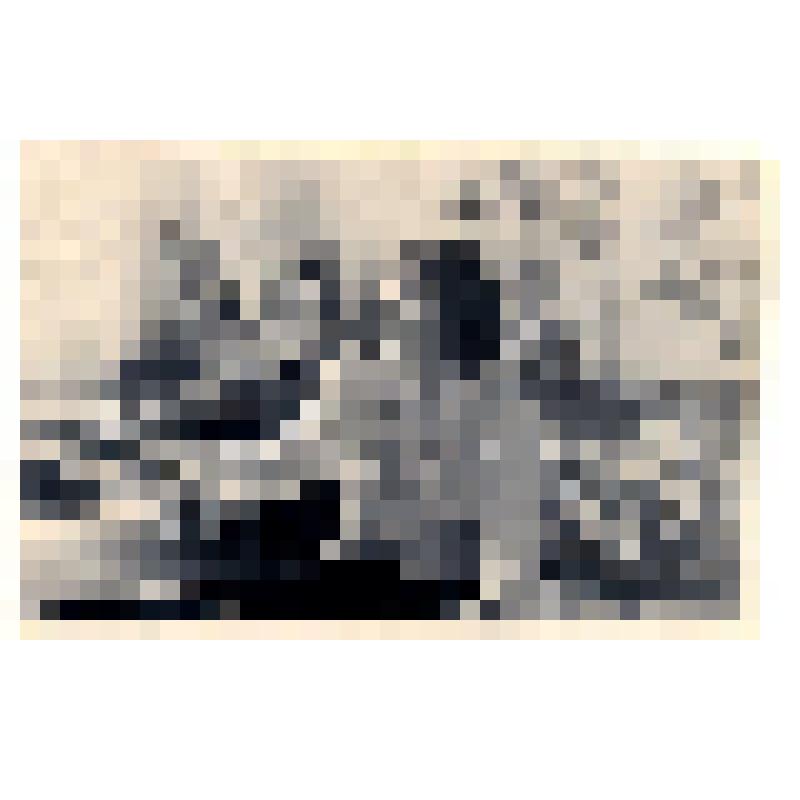 Фотография Лотониной В.Д. - художник по ткани