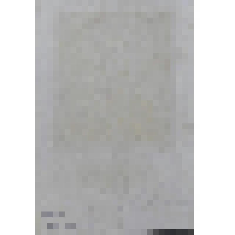 Портрет полководца Валленштейна