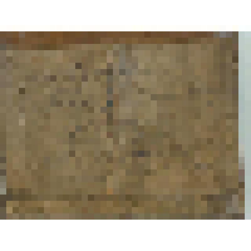 Икона "Святой Архангел Михаил Грозных сил воевода"