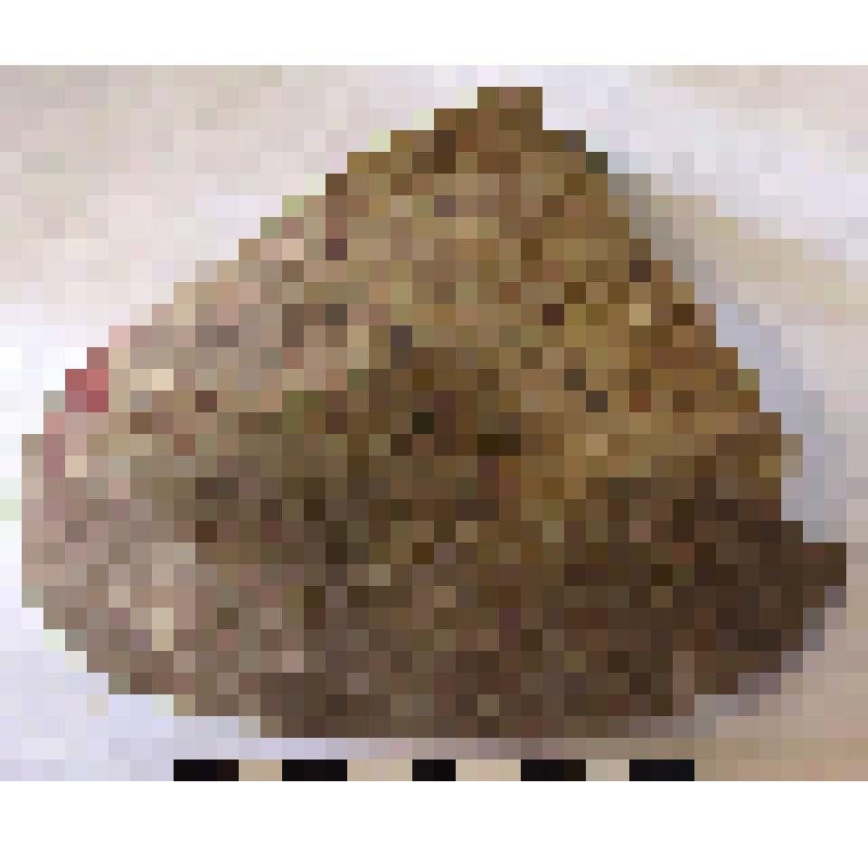 Фрагмент плеча с частью тулова амфоры типа D с дипинто