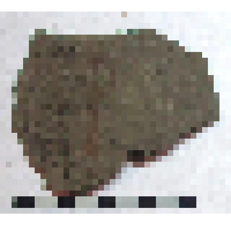 Фрагмент плеча амфоры типа D столовая с дипинти