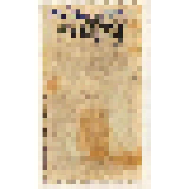 Марки почтовые. Марка почтовая. Гербовая марка. 6коп.  (коричневый)