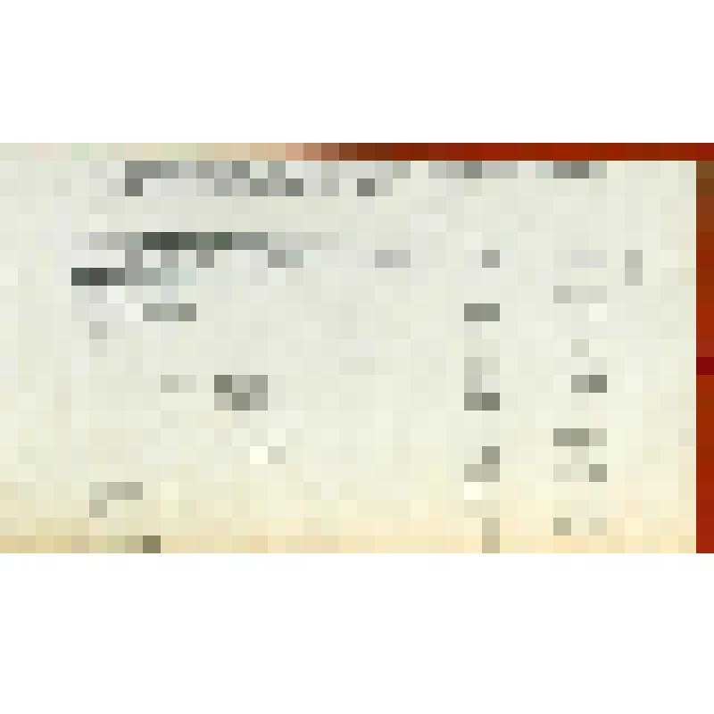 Фотография. Выпас свиней