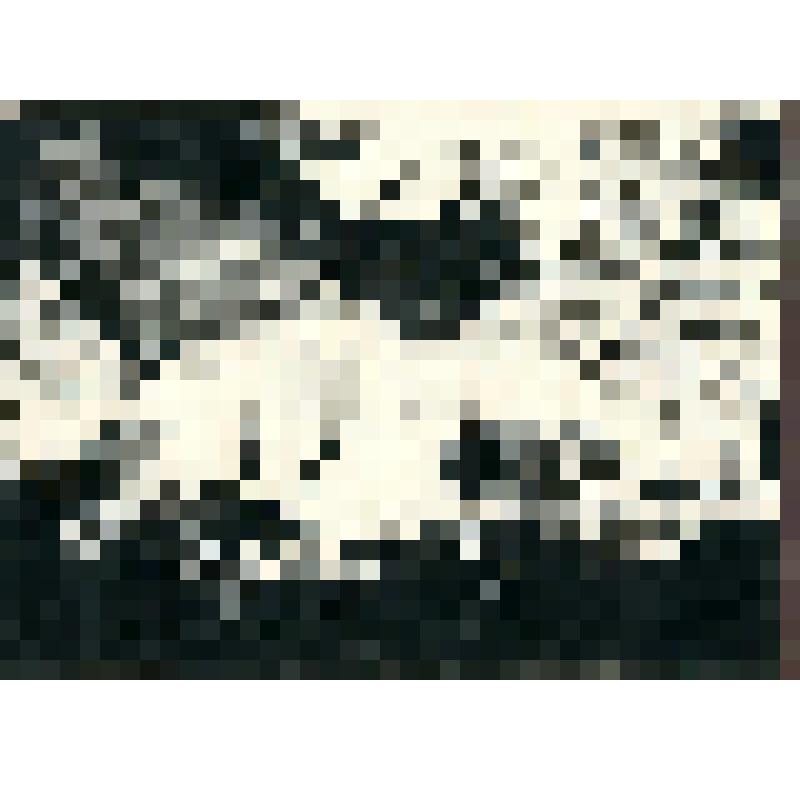 "Аэропланы". Гравюра