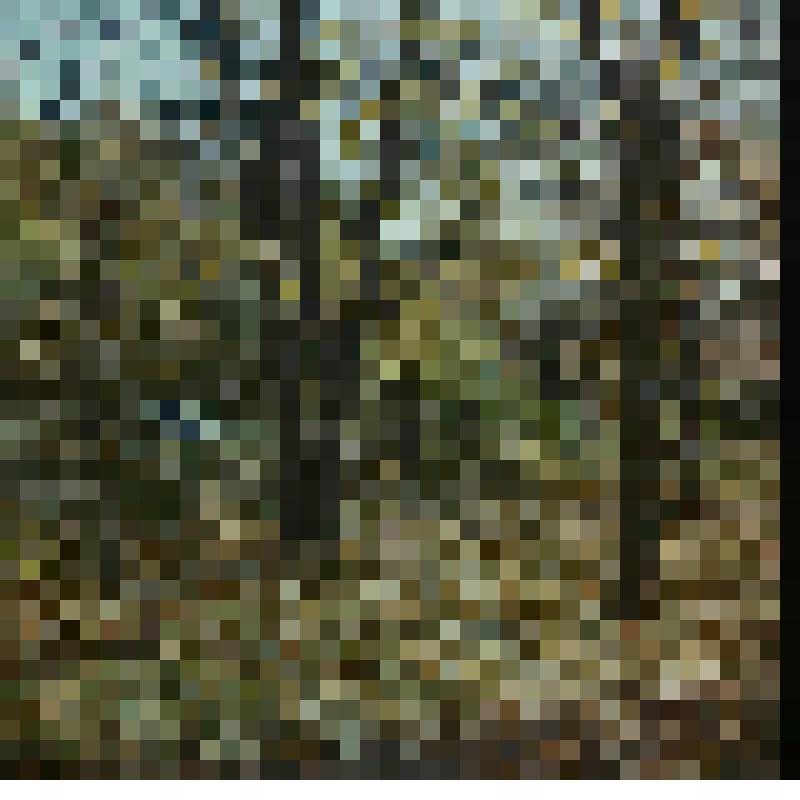 Диапозитив. Осенний сад. Челябинск. Сад на Алом поле