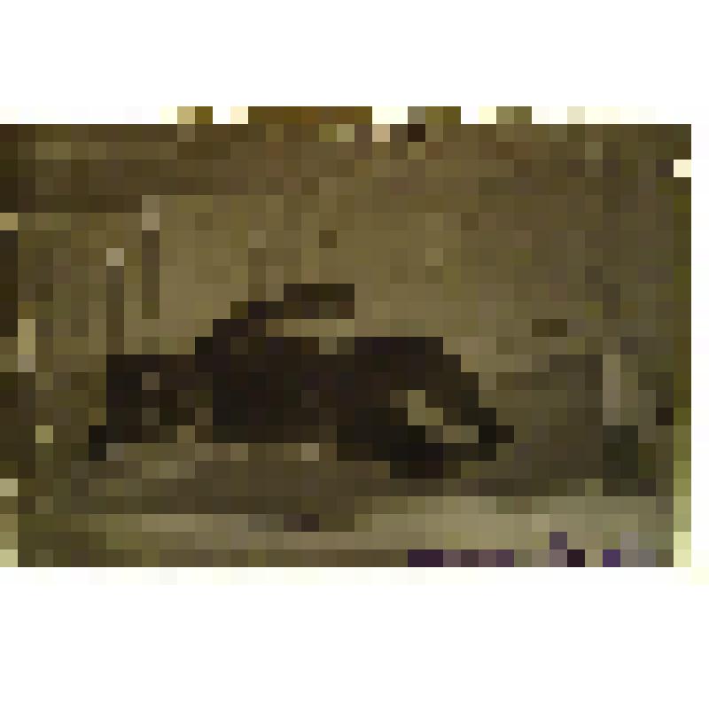 Негатив. Портрет младенца