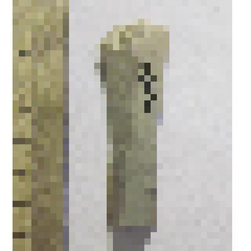 Пластина кремнёвая