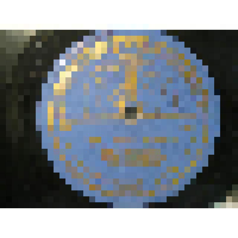 Грампластинка. 1. Русская народная песня  "Златые горы" . Исполняет Русланова Л.   2.  Русская народная песня  "Валенки".  Исполняет Русланова Л