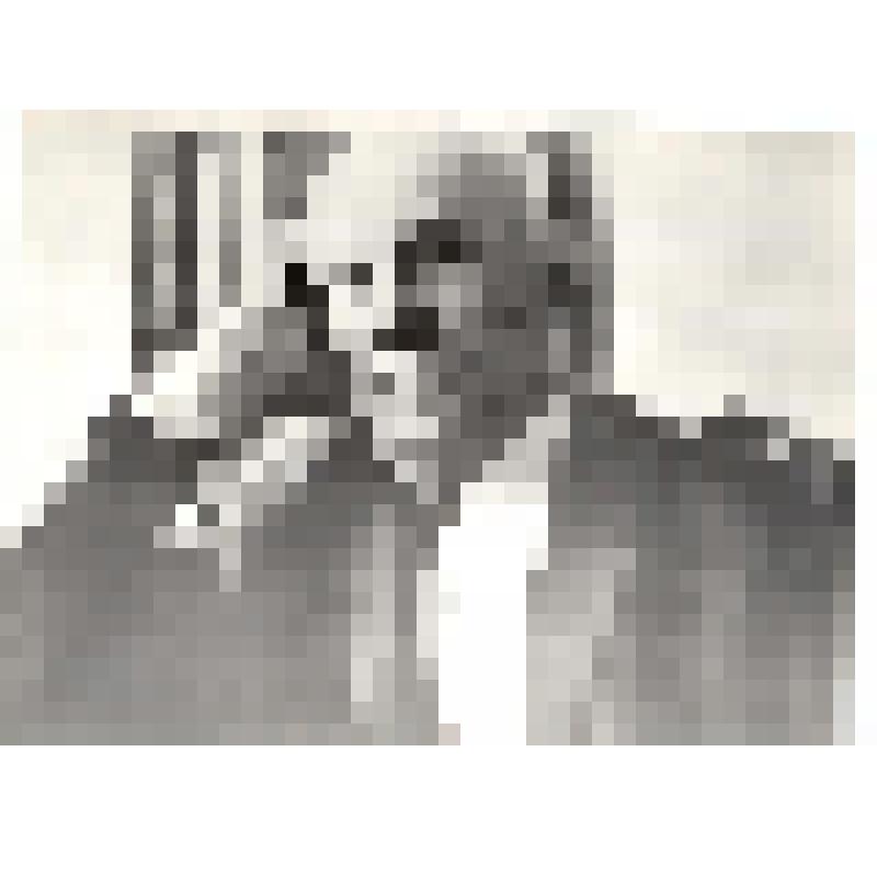 Фотография ч/б. Руднев Н.Н. в день 80-летия. 1972 г