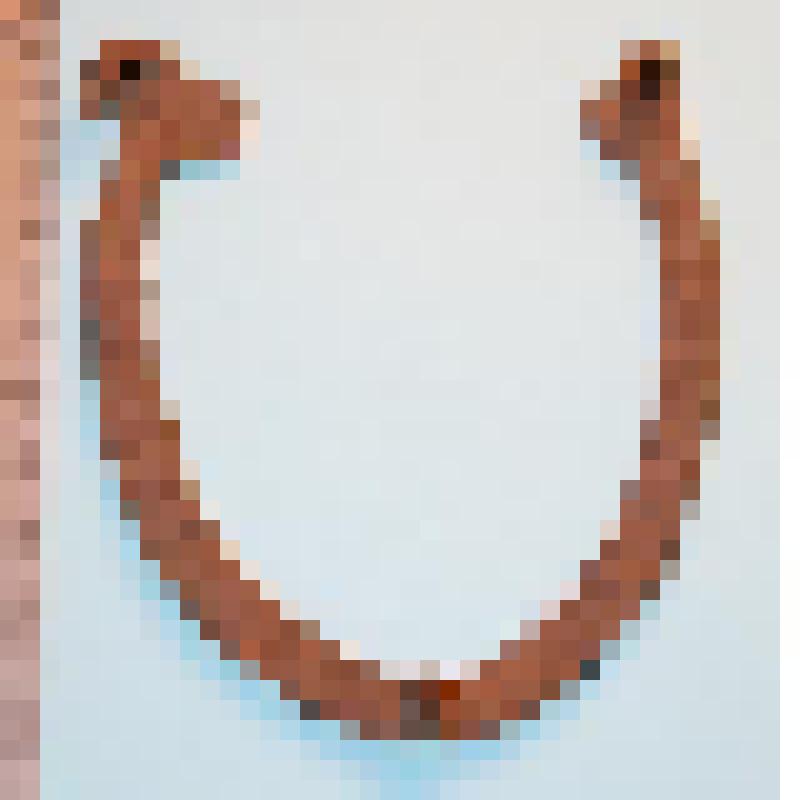 Подковка обувная