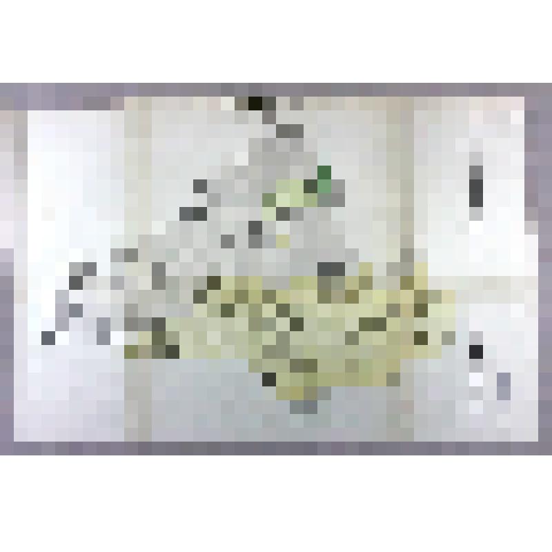 Карта гидрогеологическая. Марксовский район