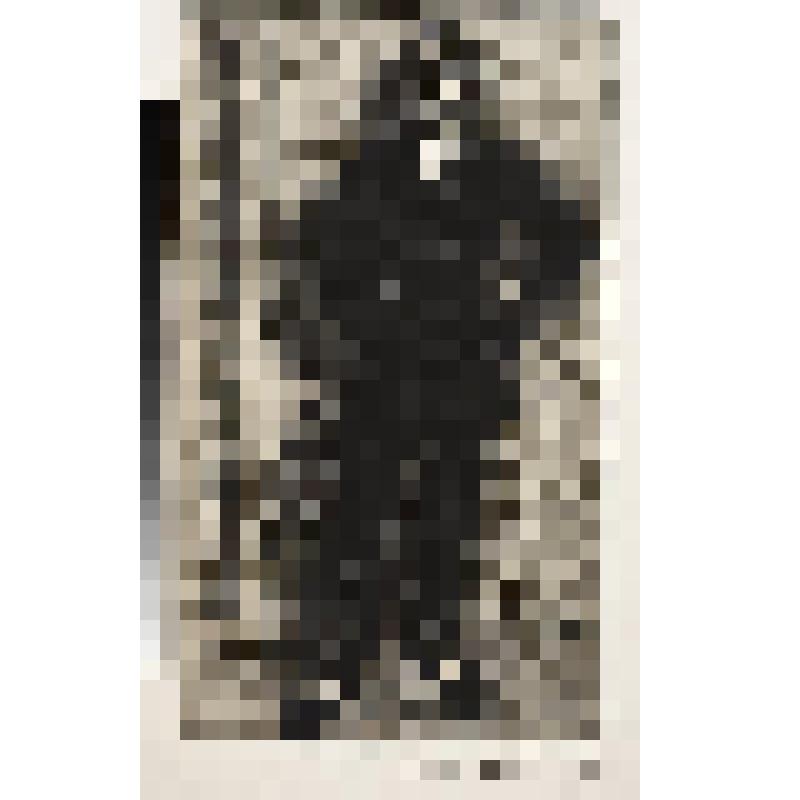 Мужчина в черном, гравюра