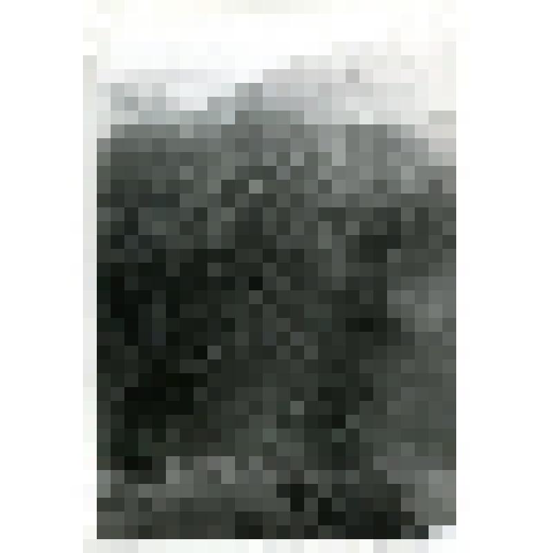 Ущелье Лур-Кох, в районе г.Фарах (аэрофотосъемка выполнена Карповым А.А.)