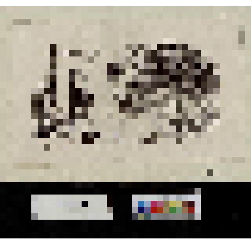 Ночлежный дом