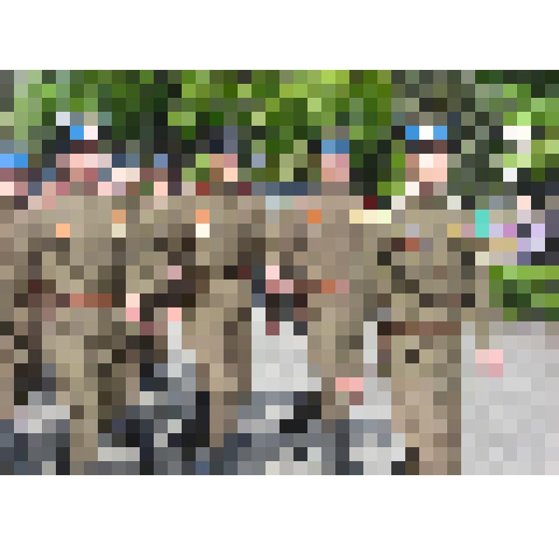 Фотография. Перед началом Парада Победы 9 мая 2015 г в г. Ставрополе. Военнослужащие 34 отдельной мотострелковой бригады горной в форме офицеров Великой Отечественной войны идут строем