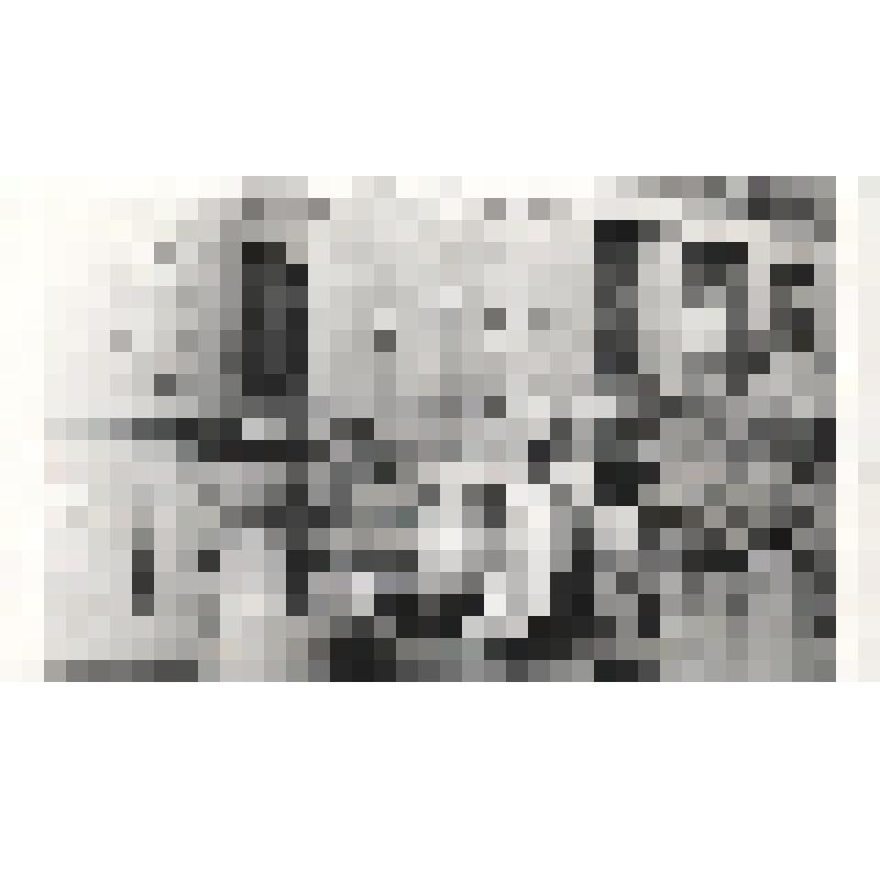 Фотография черно - белая групповая. Сотрудники Ливадийского дворца-музея на ступенях Массандровского дворца