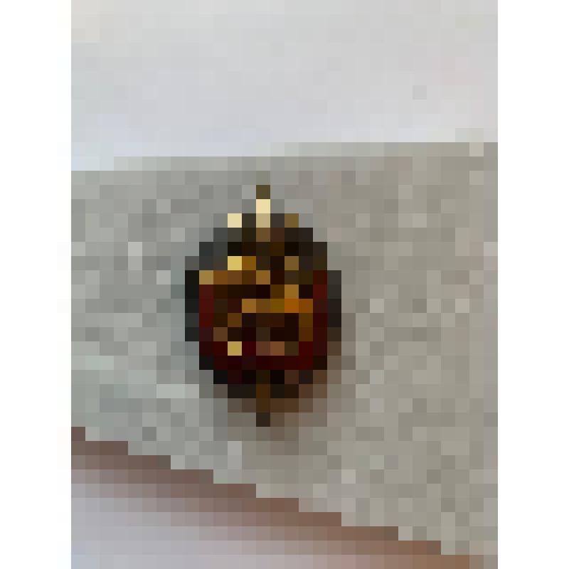 Знак "Заслуженный работник МВД" Рожкова И.С., советского геолога