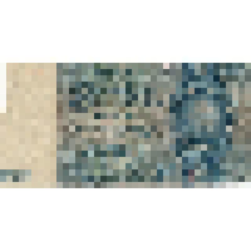 Бона. 100 марок. Германия. 1935 г