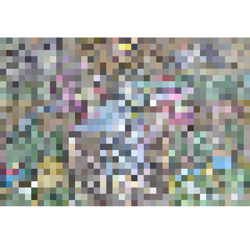 Картина "Обряд вызывания дождя" ("Янгыр Яу"). 2017 г