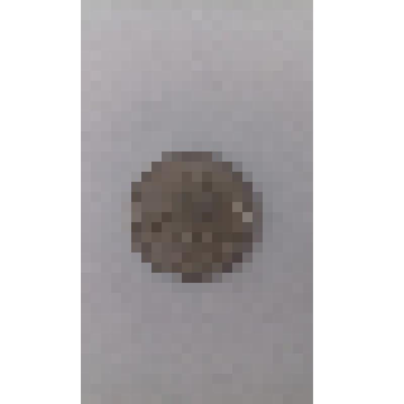 Монета. 1 копейка 2007 г. Центральный Банк России, Санкт-Петербургский монетный двор (СПМД)