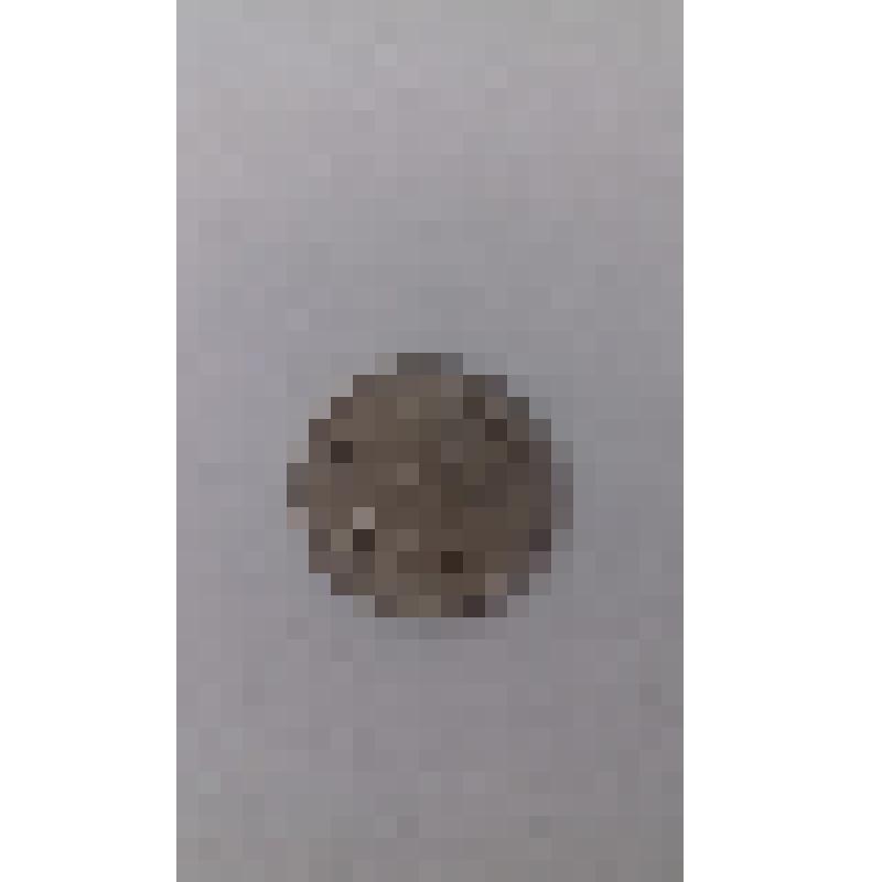 Монета. 1 копейка 2007 г. Центральный Банк России, Санкт-Петербургский монетный двор (СПМД)