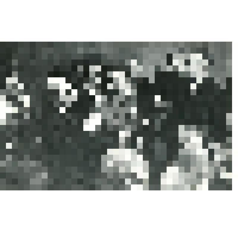 Фотография. В группе участников спектакля стоят А. Леонов, К. Шах-Азизов, С. Михалков. "Первая тройка" (пост. Л. Мышлятин, худ. Э. Змойро). Москва, Центральный детский театр