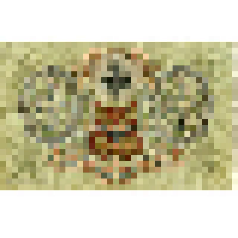 Государственный кредитный билет