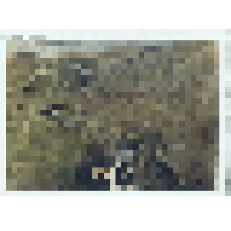 Овражек. 1964 г. Репродукция картины Е. Е. Моисеенко. Государственный Русский музей