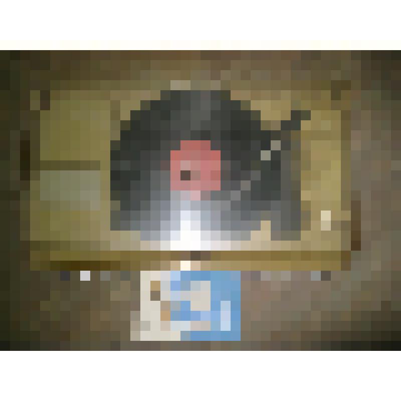 Радиола "Сириус 316"